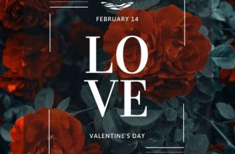 [☕️🇻🇳] MINGO coffee 🥤 Top1Coffee ☕️ “Khi ngày Valentine đến, nhiều cô gái mong chờ được tặng những món quà, đóa hoa tươi thắm. Nhưng với em, anh là món quà tuyệt vờ , shares-0✔️ , likes-3❤️️ , date-2023-02-12 06:05:18🇻🇳🇻🇳🇻🇳📰🆕