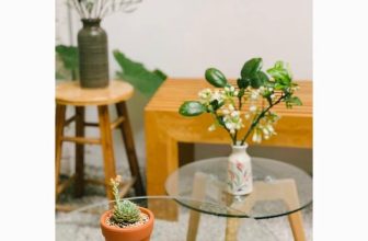 [☕️🇻🇳]  Loi’s Specialty Coffee – Purity🥤 Top1Coffee ☕️ Tháng Ba, vườn nhà có hoa,
Ngọt ngào cho mùa con ong đi lấy mật… ————————– 𝑳𝒐𝒊’𝒔 𝑺𝒑𝒆𝒄𝒊𝒂𝒍𝒕𝒚 𝑪𝒐𝒇𝒇𝒆𝒆 – 𝑷𝒖𝒓𝒊𝒕𝒚
Số , shares-0✔️ , likes-27❤️️ , date-2023-03-03 06:20:15🇻🇳🇻🇳🇻🇳📰🆕