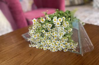 [☕️🇻🇳] Tungbook Coffee Hà Nội 🥤 Top1Coffee ☕️ Chúc mừng Valentine Trắng!
Đây là dịp để chúng ta tôn vinh tình bạn và sự chân thành trong mối quan hệ. Hãy dành thời gian để  , shares-0✔️ , likes-3❤️️ , date-2023-03-14 04:03:59🇻🇳🇻🇳🇻🇳📰🆕