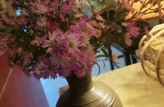 [☕️🇻🇳] Đèn Coffee 🥤 Top1Coffee ☕️ “Hoa thạch thảo như tình yêu vô vọng
Vẫn mỉm cười mỏng ngóng mối tình xưa”
———————————————-
Đèn  , shares-0✔️ , likes-7❤️️ , date-2023-03-15 10:52:41🇻🇳🇻🇳🇻🇳📰🆕