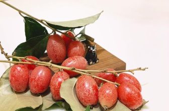 [☕️🇻🇳]  Loi’s Specialty Coffee – Purity🥤 Top1Coffee ☕️ Nhân Tình Vị.Cô Chủ hay nói về nhân tình vị, đàn em đứng trong quầy vừa lau cốc vừa gật gù… nhưng thực ra là chẳng hiểu lắm., shares-0✔️ , likes-52❤️️ , date-2023-04-01 04:59:57🇻🇳🇻🇳🇻🇳📰🆕