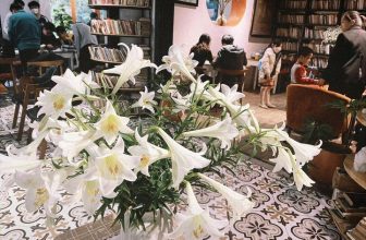 [☕️🇻🇳] Tungbook Coffee Hà Nội 🥤 Top1Coffee ☕️ 𝑁𝑔ℎ𝑖̃ 𝑐ℎ𝑜 𝑛𝑔𝑢̛𝑜̛̀𝑖 𝑘ℎ𝑎́𝑐 𝑙𝑎̀ “𝑡ℎ𝑜́𝑖 𝑞𝑢𝑒𝑛”, đ𝑢̛𝑜̛̣𝑐 𝑛𝑔𝑢̛𝑜̛̀𝑖 𝑘ℎ𝑎́𝑐 𝑛𝑔ℎ𝑖̃ 𝑐ℎ𝑜 𝑚𝑖̀𝑛ℎ 𝑙𝑎̀ “𝑚𝑎𝑦 𝑚𝑎̆́𝑛”. 𝑁ℎ𝑢̛𝑛𝑔 “𝑡ℎ𝑜́𝑖 𝑞𝑢𝑒𝑛” 𝑡ℎ𝑖̀ 𝑘ℎ𝑜́ , shares-0✔️ , likes-5❤️️ , date-2023-04-09 09:11:14🇻🇳🇻🇳🇻🇳📰🆕