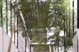 [☕️🇻🇳] măng 🥤 Top1Coffee ☕️ quét sân làm gì căng, shares-0✔️ , likes-19❤️️ , date-2023-05-14 09:15:02🇻🇳🇻🇳🇻🇳📰🆕