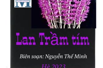 [☕️🇻🇳] Paris Coffee 🥤 Top1Coffee ☕️ ĐẾN NHANH CÒN KỊP
Trầm tím đang nở tại Paris Coffee 206 Hùng vương Nam định.
Mời các bạn cùng thưởng thức., shares-0✔️ , likes-6❤️️ , date-2023-04-27 03:06:36🇻🇳🇻🇳🇻🇳📰🆕