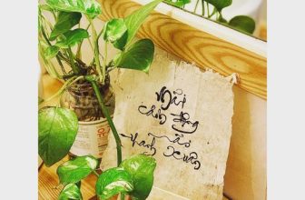 [☕️🇻🇳]  Loi’s Specialty Coffee – Purity🥤 Top1Coffee ☕️ “Một đời cảm động
Một đời thanh xuân.” Có ai đó theo đuổi thanh xuân, háo hức lập kế hoạch về những chuyến đi, lưu giữ thanh xu , shares-1✔️ , likes-21❤️️ , date-2023-05-09 03:17:10🇻🇳🇻🇳🇻🇳📰🆕