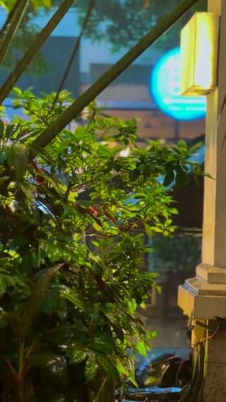 [☕️🇻🇳] Ochata Coffee  🥤 Top1Coffee ☕️  , shares-0✔️ , likes-0❤️️ , date-2023-07-14 13:39:38🇻🇳🇻🇳🇻🇳📰🆕