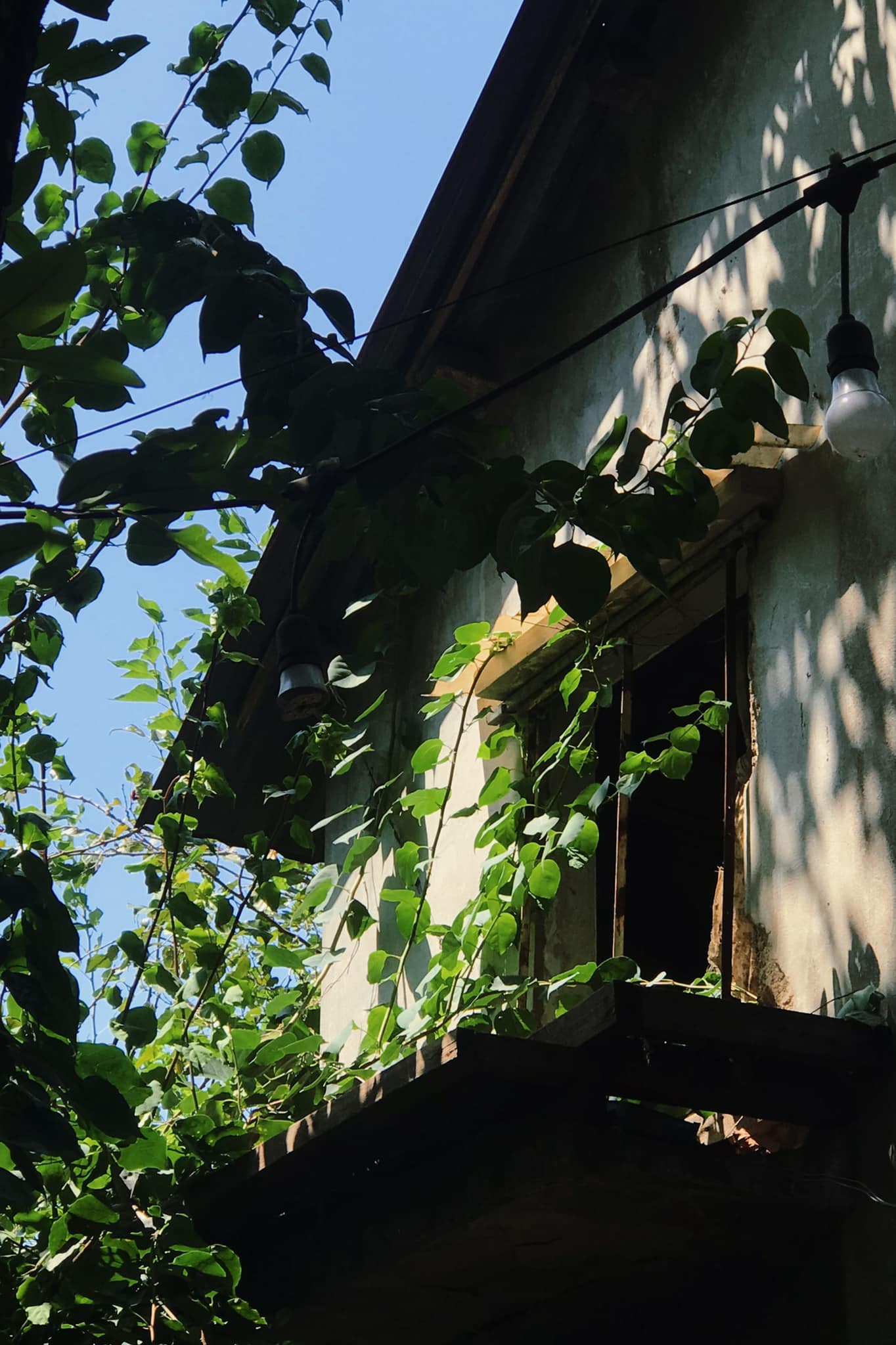 [☕️🇻🇳] 22 phẩy 5 coffee 🥤 Top1Coffee ☕️ Tôi biết sau ô cửa nhỏ kia có chỗ ngồi.
Trông thế thôi nhưng chẳng mấy khi ngồi.
Vì nhà còn nhiều chỗ ngồi khác.
Và mới hai  , shares-1✔️ , likes-47❤️️ , date-2023-05-24 09:41:34🇻🇳🇻🇳🇻🇳📰🆕