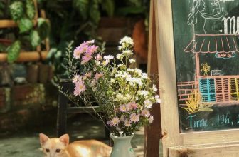 [☕️🇻🇳] 22 phẩy 5 coffee 🥤 Top1Coffee ☕️ Một lần cuối nữa thôi…
Phẩy không biết mọi người có nôn nóng cho lần cuối cùng này không, hi vọng mọi người biết thêm là Phẩy  , shares-9✔️ , likes-117❤️️ , date-2023-05-29 09:55:47🇻🇳🇻🇳🇻🇳📰🆕