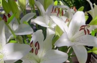 [☕️🇻🇳] Fcoffee 🥤 Top1Coffee ☕️ Cả nhà lên đơn để Fcoffee  được ship đồ uống ạh :), shares-0✔️ , likes-0❤️️ , date-2023-06-05 07:27:05🇻🇳🇻🇳🇻🇳📰🆕