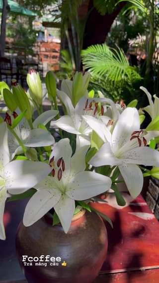 [🧘🇻🇳] Victoria Yoga -Trung tâm dạy Yoga thi đấu chuyên nghiệp 🧘Top1Yoga🕉️ – Có ai muốn tham gia cùng em hem ạ 🔥🔥