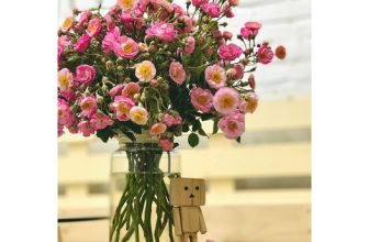 [☕️🇻🇳]  Loi’s Specialty Coffee – Purity🥤 Top1Coffee ☕️ THÔNG BÁO ĐÓNG QUÁN BUỔI CHIỀU Do nỗi niềm mang tên cắt điện nên Loi’s P xin lỗi hẹn với bạn chiều nay (Thứ Tư 07/6/2023).  Nếu  , shares-0✔️ , likes-7❤️️ , date-2023-06-07 05:20:23🇻🇳🇻🇳🇻🇳📰🆕