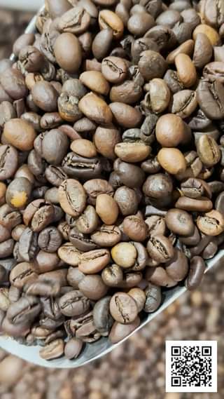 [☕️🇻🇳] Cà phê Đồng Xanh – Greenfields Coffee 🥤 Top1Coffee ☕️ PHA CÀ PHÊ MUỐI thơm ngon, đậm vị thì dùng loại cà phê nào? Để có một ly cà phê muối thơm béo, có chút mằn mặn của muối, đậm đà  , shares-6✔️ , likes-44❤️️ , date-2023-06-24 09:59:45🇻🇳🇻🇳🇻🇳📰🆕