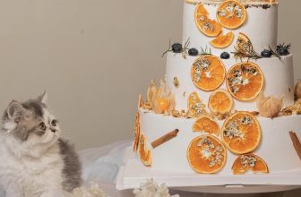 [☕️🇻🇳]  Danshari Coffee 🥤 Top1Coffee ☕️ 𝐃𝐚𝐧𝐬𝐡𝐚𝐫𝐢’𝐬 𝟒𝐭𝐡 𝐁𝐢𝐫𝐭𝐡𝐝𝐚𝐲
06/07/2019, Danshari ra đời với sự đón nhận từ các bạn yêu thích cà phê. Dan cảm ơn các bạn thương đã , shares-10✔️ , likes-80❤️️ , date-2023-07-05 12:00:11🇻🇳🇻🇳🇻🇳📰🆕