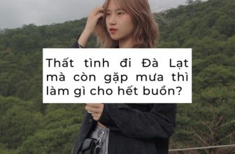 [☕️🇻🇳] Horizon Coffee – Đà Lạt 🥤 Top1Coffee ☕️
_
Horizon Coffee
Địa chỉ: 31/6 Đường 3/4, Phường 3, Thành phố Đà Lạt, Lâm Đồng
0975663339, shares-0✔️ , likes-2❤️️ , date-2023-08-01 01:30:00🇻🇳🇻🇳🇻🇳📰🆕