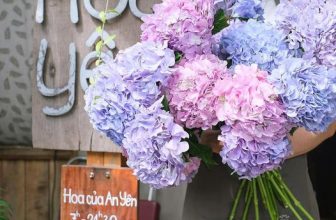 [☕️🇻🇳] 15.22 café – wine – live music 🥤 Top1Coffee ☕️ 𝘚𝘢̆́𝘤 𝘮𝘢̀𝘶 đ𝘦̣𝘱 đ𝘦̂́𝘯 đ𝘰̣̂ 𝘭𝘢̀𝘮 𝘮𝘰̣𝘪 𝘤𝘰𝘯 𝘵𝘪𝘮 𝘵𝘢𝘯 𝘤𝘩𝘢̉𝘺
#Ông_xã #Hoa #Tặng_người_thương, shares-0✔️ , likes-26❤️️ , date-2023-08-02 11:23:19🇻🇳🇻🇳🇻🇳📰🆕