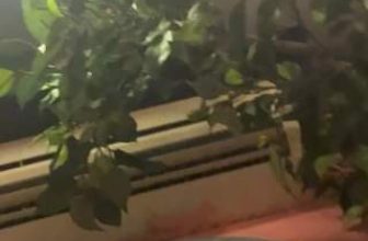 [☕️🇻🇳] PINK Cafe 37 Nguyễn Văn Huyên 🥤 Top1Coffee ☕️ Pink  cafe – nơi giao lưu gặp gỡ **************************
𝐏𝐢𝐧𝐤 𝐂𝐚𝐟𝐞́: Tầng 8-9/ 37 Nguyễn Văn Huyên, Cầu Giấy, Hà Nội.
Hotli , shares-0✔️ , likes-0❤️️ , date-2023-10-29 13:24:00🇻🇳🇻🇳🇻🇳📰🆕