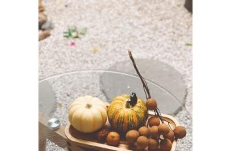 [☕️🇻🇳]  Loi’s Specialty Coffee – Purity🥤 Top1Coffee ☕️ Mùa Thu ai nhặt nhạnh
Đong đếm đầy cho nhau. ————-
𝐋𝐨𝐢’𝐬 𝐒𝐩𝐞𝐜𝐢𝐚𝐥𝐭𝐲 𝐂𝐨𝐟𝐟𝐞𝐞 – 𝐏𝐮𝐫𝐢𝐭𝐲
Số 33 Ngõ 10 Nguyễn Văn Huye , shares-0✔️ , likes-19❤️️ , date-2023-08-18 04:23:11🇻🇳🇻🇳🇻🇳📰🆕