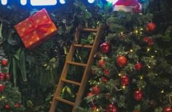 [☕️🇻🇳] Hemo Coffee – Bến Tre 🥤 Top1Coffee ☕️ Christmas is coming…
·, shares-0✔️ , likes-0❤️️ , date-2023-11-14 10:24:13🇻🇳🇻🇳🇻🇳📰🆕