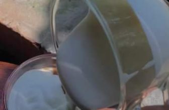 [☕️🇻🇳] Fin Coffee  🥤 Top1Coffee ☕️ Muốn pha một ly cà phê muối ngon chuẩn vị thì ib Fin Coffee nhé
—————\—————–\—————
FIN COFFEE  , shares-0✔️ , likes-7❤️️ , date-2023-10-09 03:57:26🇻🇳🇻🇳🇻🇳📰🆕