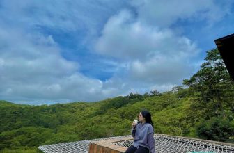 [☕️🇻🇳] Horizon Coffee – Đà Lạt 🥤 Top1Coffee ☕️ Trái tim là một ngôi nhà có hai phòng ngủ, một phòng là đau khổ còn một phòng khác là niềm vui, nhưng con người lại không thể cư , shares-0✔️ , likes-5❤️️ , date-2023-08-22 01:30:00🇻🇳🇻🇳🇻🇳📰🆕