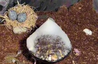 [☕️🇻🇳] YAMA Coffee Tea Dessert – Tây Ninh 🥤 Top1Coffee ☕️ DƯỚI ĐÁM MÂY LÀ GÌ ?
Muốn biết, ghé YAMA !!!, shares-0✔️ , likes-18❤️️ , date-2023-10-08 07:34:32🇻🇳🇻🇳🇻🇳📰🆕