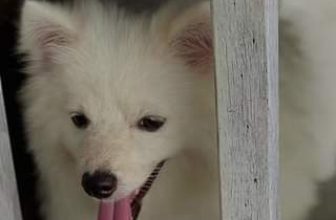 [☕️🇻🇳] Phen’s Coffee 🥤 Top1Coffee ☕️ Healing, shares-0✔️ , likes-3❤️️ , date-2023-10-15 03:09:46🇻🇳🇻🇳🇻🇳📰🆕