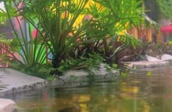 [☕️🇻🇳] Coffee HUỲNH HƯƠNG 🥤 Top1Coffee ☕️ “Cứ chân thành mà sống, sống sao cũng được, không sống sai với ai là được.
Bình thản mà đón nhận, nhẹ nhàng mà buông. Thứ đẹp n , shares-0✔️ , likes-11❤️️ , date-2023-09-04 02:57:54🇻🇳🇻🇳🇻🇳📰🆕