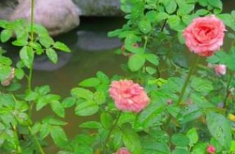 [☕️🇻🇳] Coffee HUỲNH HƯƠNG 🥤 Top1Coffee ☕️ Cuộc sống giống như một ly trà, bất luận đầy hay vơi, nóng hay lạnh, nồng hay nhạt, cũng đều có dư vị riêng của nó.
Con người  , shares-0✔️ , likes-2❤️️ , date-2023-09-10 06:14:59🇻🇳🇻🇳🇻🇳📰🆕