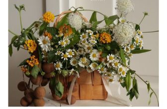 [☕️🇻🇳] Cheese Coffee 🥤 Top1Coffee ☕️ Lấy cảm hứng từ những chiếc túi xách duyên dáng của các quý cô nước Pháp, Maison Meng Atelier sẽ mang đến cho Homies Hà Nội của  , shares-4✔️ , likes-1K❤️️ , date-2023-09-05 14:39:49🇻🇳🇻🇳🇻🇳📰🆕