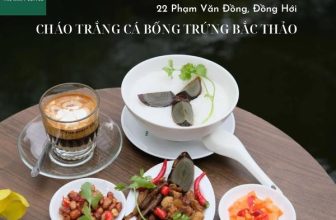 [☕️🇻🇳] The Ayatt Coffee  🥤 Top1Coffee ☕️ 𝐁𝐮̛̃𝐚 𝐬𝐚́𝐧𝐠 𝐭𝐮𝐲𝐞̣̂𝐭 𝐯𝐨̛̀𝐢 𝐜𝐮̀𝐧𝐠 𝐦𝐨́𝐧 𝐂𝐡𝐚́𝐨 𝐓𝐫𝐚̆́𝐧𝐠 𝐜𝐚́ 𝐛𝐨̂́𝐧𝐠 𝐭𝐫𝐮̛́𝐧𝐠 𝐁𝐚̆́𝐜 𝐭𝐡𝐚̉𝐨 𝐭𝐡𝐨̛𝐦 𝐧𝐠𝐨𝐧 Ngọt bùi của cháo trắng mềm mại kết , shares-3✔️ , likes-202❤️️ , date-2023-09-14 13:17:21🇻🇳🇻🇳🇻🇳📰🆕