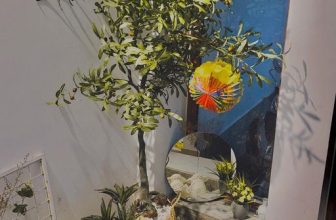 [☕️🇻🇳] Hạ An Corner – Trà – Bánh – Cafe – Piano 🥤 Top1Coffee ☕️ Thu Sài Gòn tuy không được mát mẻ lắm, nhưng được cái nó mưa.  Có bé hươu cao cổ gia nhập khu vườn nhà An nè.   𝗛𝗮̣ 𝗔𝗻 𝗖𝗼𝗿𝗻𝗲𝗿
, shares-0✔️ , likes-10❤️️ , date-2023-09-21 09:17:27🇻🇳🇻🇳🇻🇳📰🆕