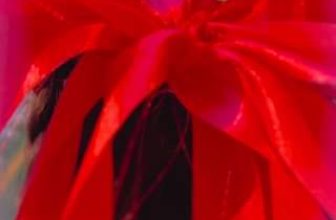 [☕️🇻🇳] Coffee HUỲNH HƯƠNG 🥤 Top1Coffee ☕️ ” Đêm nay trăng sáng hơn gươngTrời trong, gió mát, bé lên đồ đi chơi.” Đ𝐄̂́𝐍 𝐇𝐔𝐘̀𝐍𝐇 𝐇𝐔̛𝐎̛𝐍𝐆 – 𝐁𝐄́ 𝐌𝐀𝐍𝐆 𝐐𝐔𝐀̀ 𝐕𝐄̂̀     Để ngày TẾT , shares-0✔️ , likes-0❤️️ , date-2023-09-28 16:05:25🇻🇳🇻🇳🇻🇳📰🆕