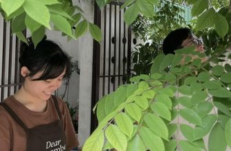 [☕️🇻🇳] Dear November Coffee 🥤 Top1Coffee ☕️ Thi thoảng chúng tớ lại được đóng vai người làm vườn vui vẻ, nhưng mãi mà team R&D chưa chịu ra món gì có Khế  Bạn nào nghĩ  , shares-0✔️ , likes-21❤️️ , date-2023-10-02 07:36:56🇻🇳🇻🇳🇻🇳📰🆕