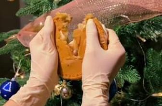 [☕️🇻🇳] Le Petit Cafe’ 🥤 Top1Coffee ☕️ Giáng Sinh cận kề rồi Mọi người có nôn nóng cái không khí cuối năm này như bọn mình không   Coming soon  #lepetittn
———- , shares-0✔️ , likes-3❤️️ , date-2023-11-14 08:50:43🇻🇳🇻🇳🇻🇳📰🆕