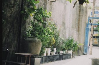 [☕️🇻🇳] Fin Coffee  🥤 Top1Coffee ☕️ Một chiếc cà phê mang không gian hoài niệm ngay trung tâm thành phố….
—————\—————–\—————
FIN C , shares-0✔️ , likes-12❤️️ , date-2023-10-13 03:55:53🇻🇳🇻🇳🇻🇳📰🆕