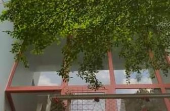 [☕️🇻🇳] Hạ An Corner – Trà – Bánh – Cafe – Piano 🥤 Top1Coffee ☕️ caption trong clip   𝗛𝗮̣ 𝗔𝗻 𝗖𝗼𝗿𝗻𝗲𝗿
[𝒯𝓇𝒶̀ – ℬ𝒶́𝓃𝒽 – 𝒞𝒶̀ 𝒫𝒽ℯ̂ – 𝒫𝒾𝒶𝓃ℴ]
———————
41/6 Đồng Xoài, phường 13, , shares-0✔️ , likes-0❤️️ , date-2023-10-09 11:32:17🇻🇳🇻🇳🇻🇳📰🆕