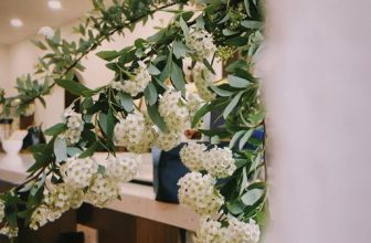 [☕️🇻🇳] The Comma coffee 🥤 Top1Coffee ☕️ 20/10, tụi mình xin gửi những lời chúc tốt đẹp nhất đến các bà, các mẹ, các cô, các chị, các bạn nữ, và kèm theo đó là món quà n , shares-1✔️ , likes-10❤️️ , date-2023-10-19 11:44:00🇻🇳🇻🇳🇻🇳📰🆕