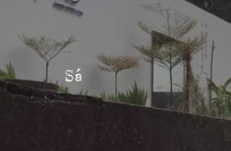 [☕️🇻🇳] Garden Coffee – Tea Thanh Sơn 🥤 Top1Coffee ☕️ Chiều nay mưa to các fan của Garden đi đâu nhớ mang ô  nhé.
Mưa mà Garden chill quá,
Quay video nào cũng đẹp, shares-0✔️ , likes-30❤️️ , date-2023-11-06 05:13:33🇻🇳🇻🇳🇻🇳📰🆕