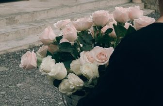 [☕️🇻🇳] 𝐋𝐚 𝐑𝐞̂𝐯𝐞𝐮𝐬𝐞🥤 Top1Coffee ☕️ thật ra, mọi thứ vừa đủ mới là tốt nhất
không chúc em lộng lẫy, chỉ chúc không muộn phiền.
không chúc em giàu có, chỉ chúc em , shares-9✔️ , likes-124❤️️ , date-2023-10-19 15:58:47🇻🇳🇻🇳🇻🇳📰🆕