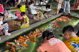[☕️🇻🇳] Koilands Coffee 🥤 Top1Coffee ☕️ 𝘔𝑢̀𝘢 𝘵𝘩𝘶 𝘤𝑜̀𝘯 𝘳𝑎̂́𝘵 𝘹𝘢𝘯𝘩
V𝑎̀ 𝘯𝑎̆𝘮 𝘵𝘩𝑎́𝘯𝘨 𝘯𝘩𝑢̛ 𝘣𝑎̀𝘪 𝘵𝘩𝑜̛ 𝘯𝘩𝘪𝑒̂̀𝘶 𝘤𝘩𝑢̛̃
C𝑜́ 𝘯𝘩𝑢̛̃𝘯𝘨 đ𝘪𝑒̂̀𝘶 𝘬𝘩𝑜̂𝘯𝘨 𝘣𝘢𝘰 𝘨𝘪𝑜̛̀ 𝘤𝑢̃
Có 𝘯𝘩𝑢̛̃𝘯𝘨 đ𝘪𝑒̂ , shares-2✔️ , likes-15❤️️ , date-2023-10-17 12:28:17🇻🇳🇻🇳🇻🇳📰🆕