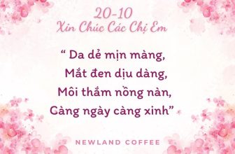 [☕️🇻🇳] Newland Coffee 🥤 Top1Coffee ☕️ Nhân ngày Phụ nữ Việt Nam, Newland Coffee xin dành những lời chúc ngọt ngào nhất tới các chị em.  Chúc phái đẹp có một ngày 20/1 , shares-0✔️ , likes-10❤️️ , date-2023-10-20 01:57:59🇻🇳🇻🇳🇻🇳📰🆕