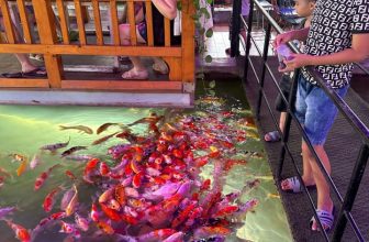 [☕️🇻🇳] Koilands Coffee 🥤 Top1Coffee ☕️ Nhân ngày phụ nữ Việt Nam
Xin chúc phái đẹp trên toàn nước ta
Xin kính chúc những người Bà
Luôn luôn mạnh khoẻ tuổi già thảnh , shares-6✔️ , likes-13❤️️ , date-2023-10-20 01:53:37🇻🇳🇻🇳🇻🇳📰🆕