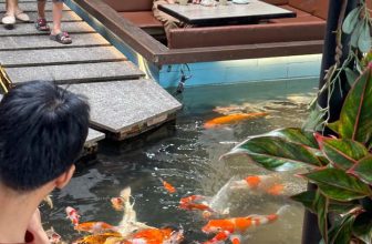 [☕️🇻🇳] Koilands Coffee 🥤 Top1Coffee ☕️ Cuối tuần mong ước 1 lời
Chúc nhau hạnh phúc, tình đời thiết tha
Gửi trao bạn bè gần xa
Đầu tuần mong mỏi khát khao
Cuối tuầ , shares-2✔️ , likes-14❤️️ , date-2023-10-21 13:02:41🇻🇳🇻🇳🇻🇳📰🆕