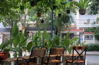 [☕️🇻🇳] KUMO CHAN Coffee and Garden 🥤 Top1Coffee ☕️ Bất cứ khi nào tôi chán nản hay lạc lõng, ta đều nghĩ đến màu xanh lá cây, nghĩ đến “thiên thần” trong ánh sáng, nó mang lại cho , shares-1✔️ , likes-12❤️️ , date-2023-10-26 07:08:01🇻🇳🇻🇳🇻🇳📰🆕