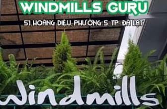 [☕️🇻🇳] Windmills Coffee Đà Lạt – Trà sữa Ly Chai 🥤 Top1Coffee ☕️ Không gian mới của WINDMILLS GURU tụi mình nè. Hẹn gặp các bạn vào ngày 03/11 nha Mời bạn ghé chơi! #Windmillscoffee #WindmillsG , shares-0✔️ , likes-0❤️️ , date-2023-11-01 10:57:56🇻🇳🇻🇳🇻🇳📰🆕