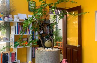 [☕️🇻🇳] KUMO CHAN Coffee and Garden 🥤 Top1Coffee ☕️ Bạn có bao giờ bị ngắt kết nối chưa? Chuỗi ngày lạc lõng đột nhiên ập đến. Hãy nuông chiều bản thân bằng những giây phút lắng đọ , shares-0✔️ , likes-13❤️️ , date-2023-10-30 02:14:50🇻🇳🇻🇳🇻🇳📰🆕