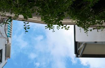 [☕️🇻🇳] Cố Thời Coffee 🥤 Top1Coffee ☕️ Vậy là tròn đúng một tháng từ ngày mở cửa lại, tổng kết  một tháng đã qua chỉ gom chung một vài từ cố định, bao gồm vui, mệt, th , shares-1✔️ , likes-15❤️️ , date-2023-10-31 02:00:42🇻🇳🇻🇳🇻🇳📰🆕