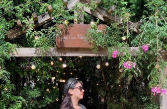 [☕️🇻🇳] Ngày của Nắng Coffee+ 🥤 Top1Coffee ☕️ … Đà Lạt, ngày cuối cùng của tháng 10… tựa như ngày Mồng 1 tết… Gió nhẹ nhàng, nắng cũng nhẹ nhàng, trời hơi se se lạnh, em chẳn , shares-1✔️ , likes-61❤️️ , date-2023-10-31 03:34:04🇻🇳🇻🇳🇻🇳📰🆕