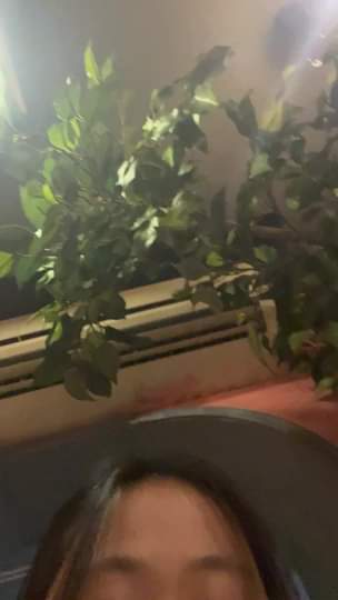 [🆕🇻🇳]  HPT KIDS STORE – Quần Áo trẻ em tận xưởng..Chuyên Sỉ lẽ Số lượng 😎❤️️⭐️  BST thu đông hot hit, gì chứ legging xưởng em ra liên tục ạ
Bảng màu quá trời luôn, trơn thì màu xuất sắc, hoạ tiết thì siêu xinh
Chất cotton 4c mềm mị , shares-1✔️ , likes-8❤️️ , date-2023-10-29 11:01:06🇻🇳🇻🇳🇻🇳📰🆕