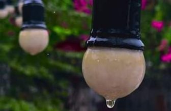 [☕️🇻🇳] Garden Coffee – Tea Thanh Sơn 🥤 Top1Coffee ☕️   Khi nắng cac bạn biết đến 1 Garden ồn ào vui vẻ mà nhộn nhịp
Tuy nhiên khi trời mưa hình như tất cả đều chậm lại, đặc biệt l , shares-0✔️ , likes-15❤️️ , date-2023-11-13 04:03:06🇻🇳🇻🇳🇻🇳📰🆕